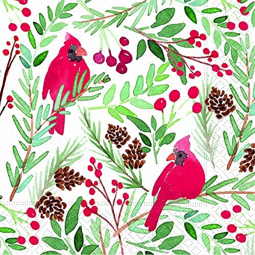 Noel Peçeteleri Noel Partisi için Tek Kullanımlık Dekoratif Kağıt Peçeteler Kuşlar ve Meyveler ile Peçeteler Noel Dekorasyonu