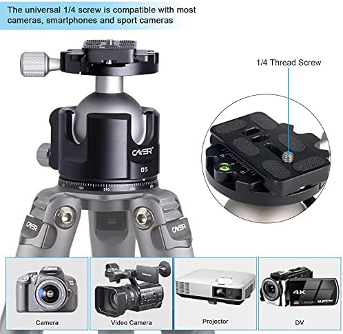 Cayer G5 Düşük Profil Topu Kafa 54mm G5 Tripod Başkanı Kamera Dağı Arca Plaka için Tripod, DSLR, kamera, Max Yük 110 LB / 50