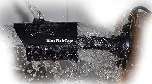 BlueFishCam Renkli güvenlik kamerası Geniş Açı Lens 2.8 mm CMOS 1000TVL 24 LED Kızılötesi Su Geçirmez Güvenlik Kamera ile IR-Cut