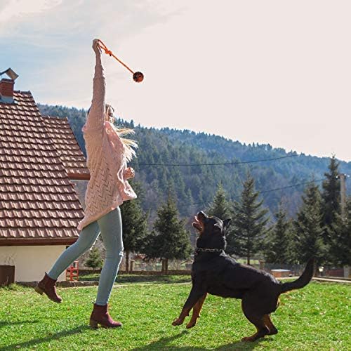 Nevperish K9 Eğitim Topu ile Halat Egzersiz ve Ödül Oyuncak Köpekler için Yıkılmaz Köpek Oyuncak Topu ile Kolu için Eğitim Çekme