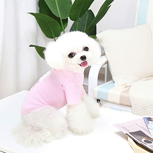 Pet Giysi, sevimli Rahat Yumuşak Karikatür Ayı Baskı Tüm Maç Iki Bacak Pet Köpekler Kazak Kostüm Sonbahar Köpek Sıcak Yelek Orta