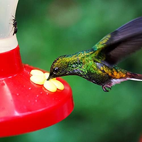 50 Parça Hummingbird Besleyiciler Yedek Çiçekler ve Hummingbird Besleyici Temizleme Fırçası Mini Fırça Seti, Besleme Portları