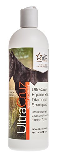 UltraCruz-sc-516104 At Siyah Elmas At Şampuanı, 16 oz