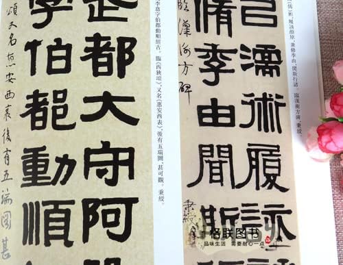 PAYNAN 77 sayfa Çin Gelenekleri Mühür Komut Yazma Fırça Kaligrafi Lekelemek Uygulama Kitap