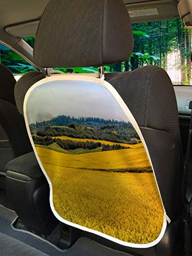 Ambesonne Idaho Araba Koltuğu Koruyucusu 2 Set, Amerika Birleşik Devletleri'nde Çiçek Tarlaları Çayır Doğal Manzara Fotoğrafı,