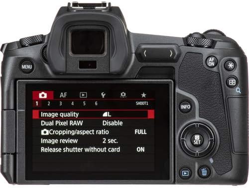 Canon EOS R Aynasız DSLR w / RF 24-105mm f / 4L USM Lens + EF 75-300mm + Rode VideoMic Pro Artı + Pro Bi-Renk LED video ışığı