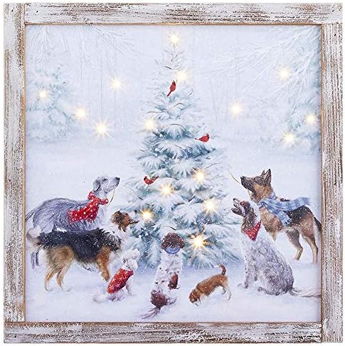 RAZ İthalatı Noel Ağacı Işıklı Çerçeveli Baskı Etrafında 15.75 Köpek Toplama