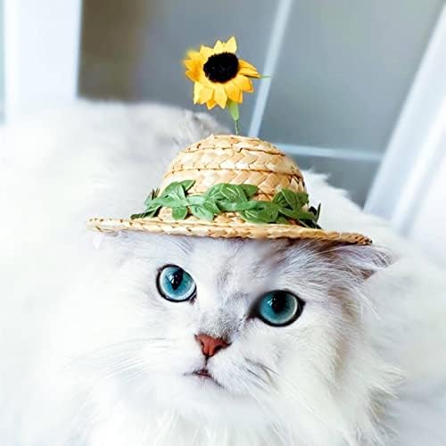 NA Kedi şapka Sevimli Güneş Koruyucu pet Hasır şapka, pet Headdress, Köpek kedi Kişilik Elbise, süs