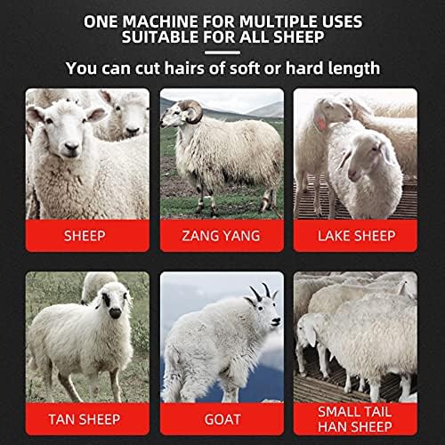 Antbutler 690 W Elektrikli koyun Makası, 6-Hız Koyun Kesme Hayvan Uzun Saç Kürk Kesme Makası, ağır Çiftlik Hayvancılık Saç Kesimi