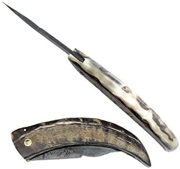 LAGUİOLE Curnicciollo Korsikalı Bıçak, Boynuz Saplı 21 cm