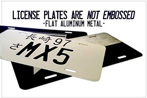 SignsAndTagsOnline Kişiselleştirilmiş Wisconsin Plaka Herhangi Bir Metin Özel Wİ amerika'nın Dairyland Metal Oto Etiketi