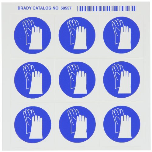 Brady 58557 Basınca Duyarlı Vinil Piktogram Etiketlerini Tanıma Hakkı , Beyaz Üzerine Mavi, 1 1/2 Yükseklik x 1 1/2 Genişlik,
