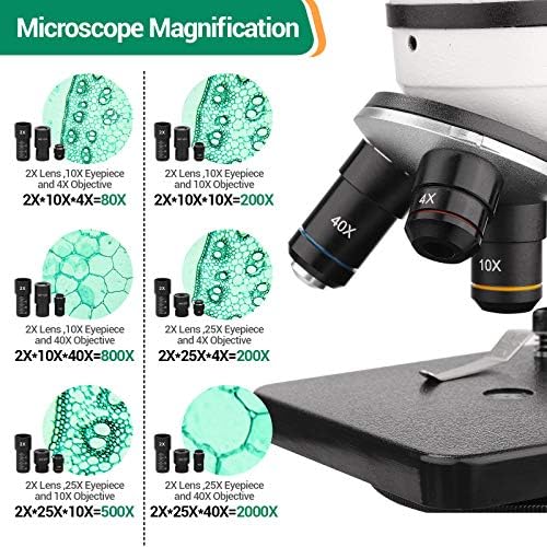 Yetişkinler ve Çocuklar için BNISE Mikroskop, 40X-2000X Büyütme, Hazırlanan Slaytlar Kiti, Çift LED Aydınlatma, Tüm Cam Optikler