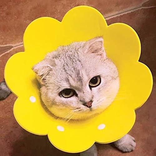MiOYOOW Kedi Koni Yaka, Kedi Kurtarma Yaka Yumuşak Kedi E Yaka Ayarlanabilir Ayçiçeği Kedi Boyun Konileri Kediler için Yavru