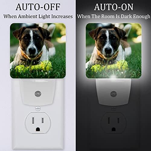 2 Paket Plug-in Gece Lambası LED Gece Lambası Genç Beyaz Köpek Alacakaranlıktan Şafağa Sensörlü Çocuk Odası için