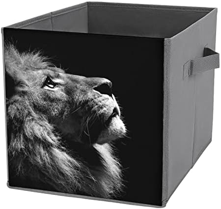 GSALLE Katlanır saklama kutuları Lions Kumaş saklama kutuları Katlanabilir Depolama Küpleri Dekoratif saklama kutuları Kolları