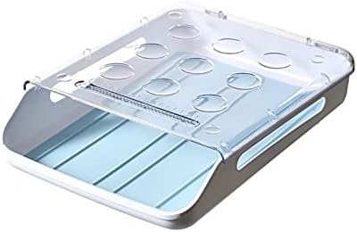 Buzdolabında yumurta saklama kutusu ev taze tutma mutfak gıda düzenleme raf çekmece tipi mutfak eşyaları (Renk: Büyük mavi)