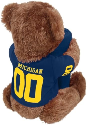 NCAA Michigan Wolverines Maskot Ayı Yastık ve Atmak Combo