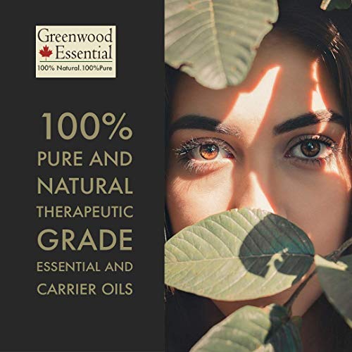 Greenwood Uçucu Saf Moringa Yağı (Moringa oleifera) Doğal Terapötik Sınıf Soğuk Preslenmiş Kişisel Bakım için 10 ml (0.33