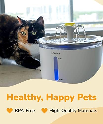 Loomla Kedi su çeşmesi, 85 oz/2.5 L Pet su çeşmesi Kapalı, Değiştirilebilir LED ışıkları ile otomatik köpek su sebili, kediler,