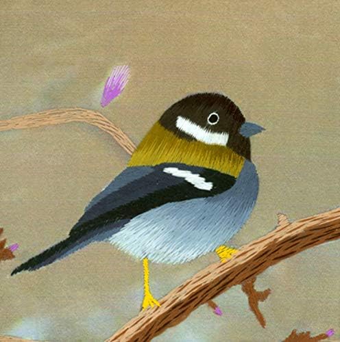 Çapraz Dikiş Malzemeleri / DIY Bitmemiş 100 % Dut Ipek Suzhou Nakış Desenleri Setleri El Yapımı Dikiş Kitleri Kuşlar Kelebek