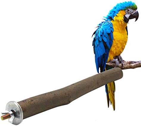 GANE Çubuk Kuş Kafesi Standları-Kuşlar Çiğnemek Oyuncaklar için Pençe Taşlama Kuşlar Kafes Malzemeleri-15 cm